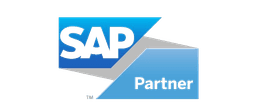 SAP Partner